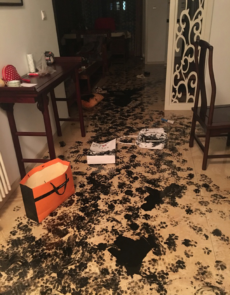 Puppy destroying hot sale house