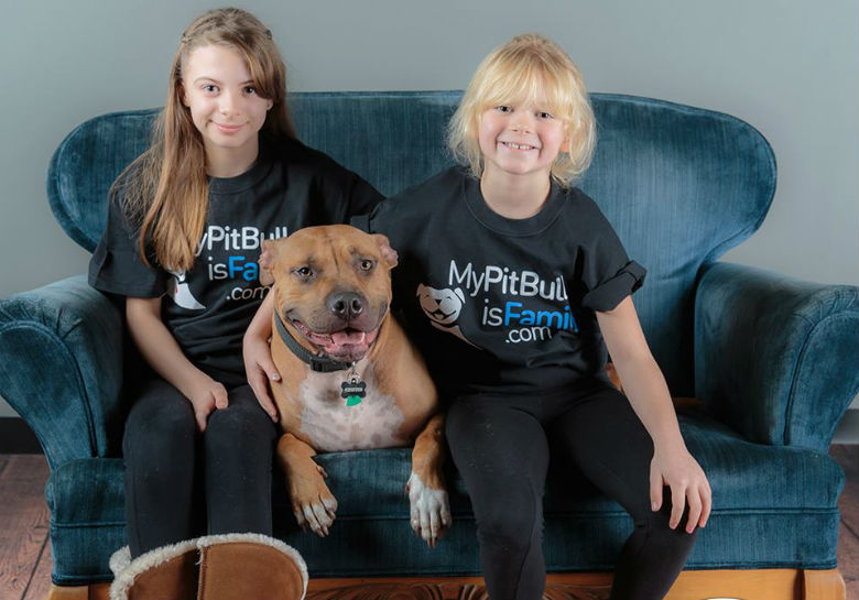 Where can you find a list of pit bull-friendly apartments?