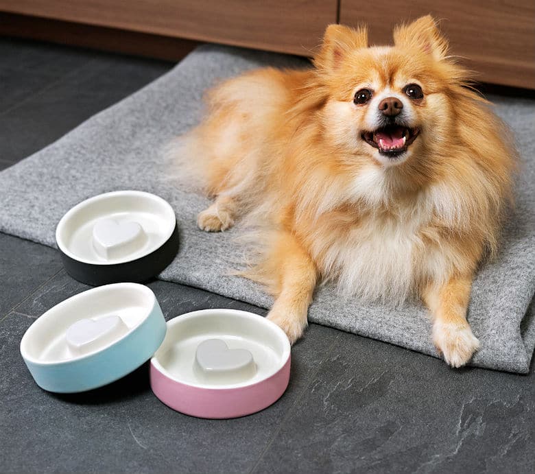 magisso dog bowl slow feeder 1
