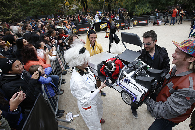 Tompkins Square Halloween Dog Parade presented by Purina Beggin' on Saturday, Oct. 24, 2015 in New York. (Photo by Jason DeCrow/Invision for Purina Beggin'/AP Images)