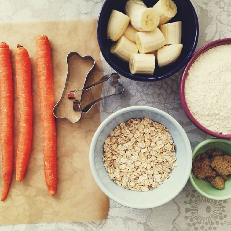beyond raw food other beneficial diet options for your pup this