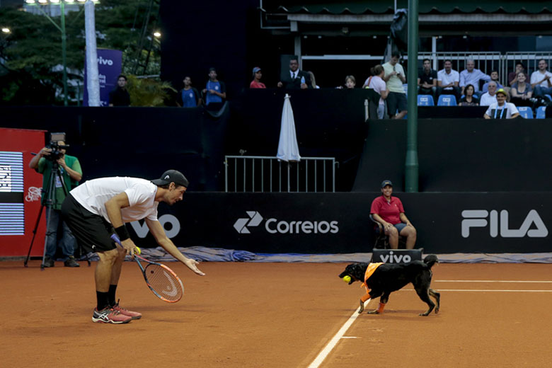 São Paulo-SP - 25/02/2016 - BRASIL OPEN 2016 - Cãodulas - Ação Premier, durante Brasil Open 2016 no Esporte Clube Pinheiros. Foto: Leandro Martins/DGW Comunicação