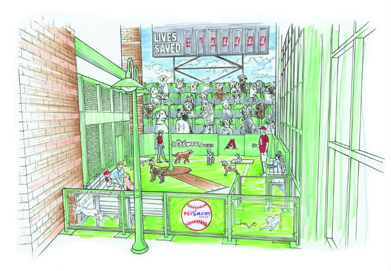 PETSMART-D-backs Outdoor Dog Park