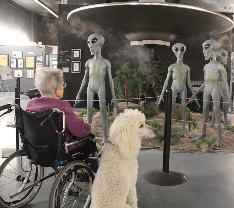 The International UFO Museum and Research Center and a dog