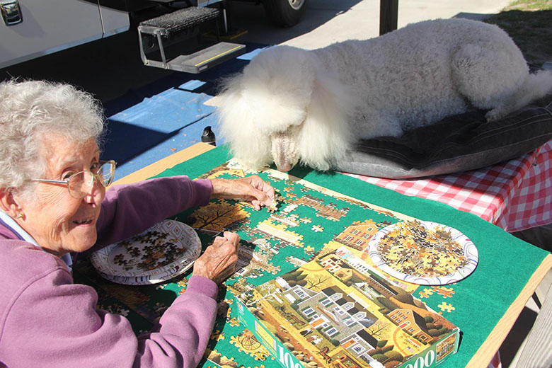 90 year old and her poodle Ringo on road trip 3