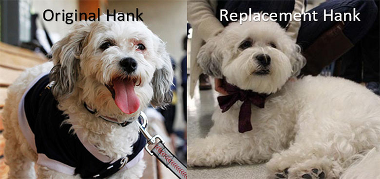 Hank 2