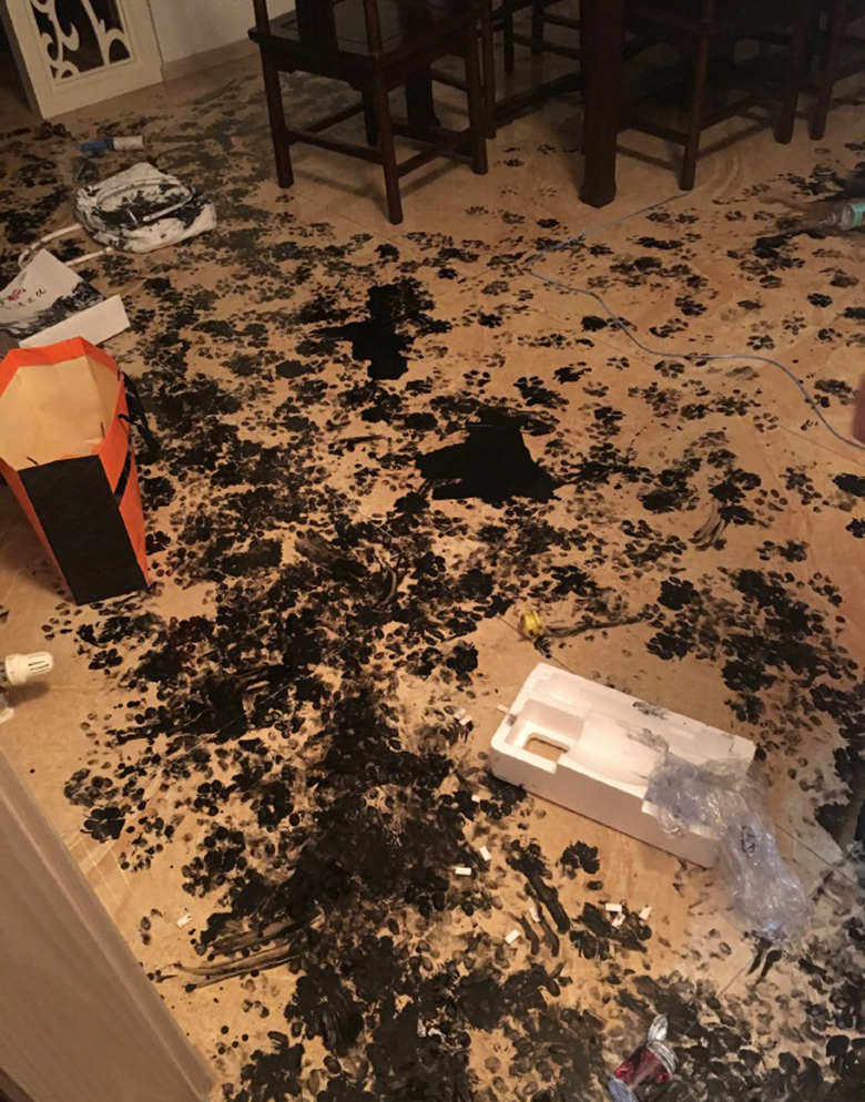 Dog Destroys Home 7