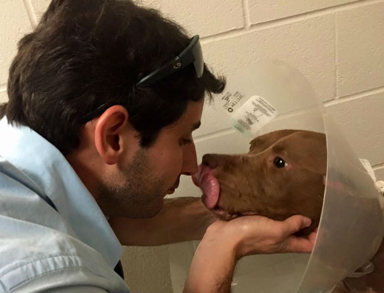 a bait dog at a vet