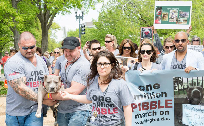 One Millin PIBBLE March via Facebook