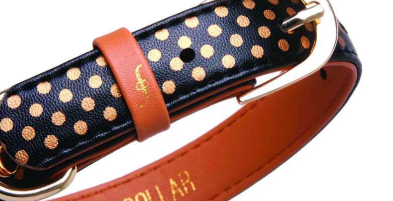 friendship collar closeup