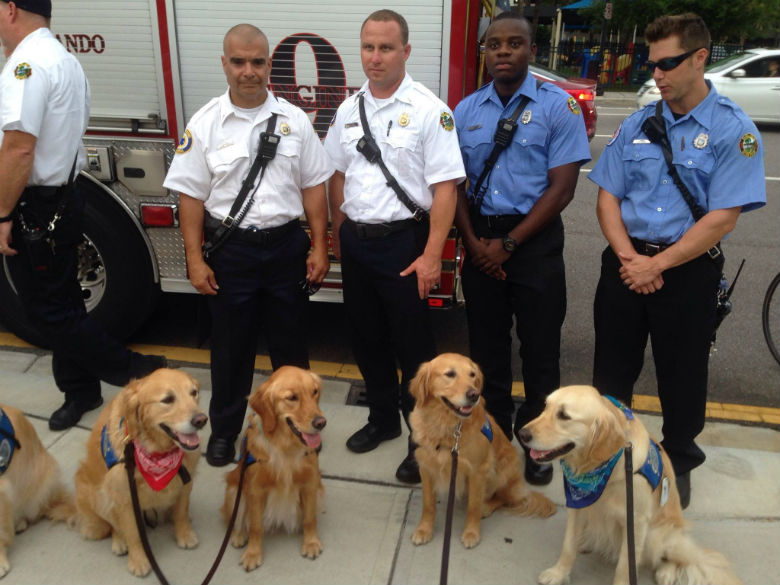 K-9 Comfort Dogs 3