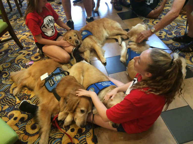 K-9 Comfort Dogs