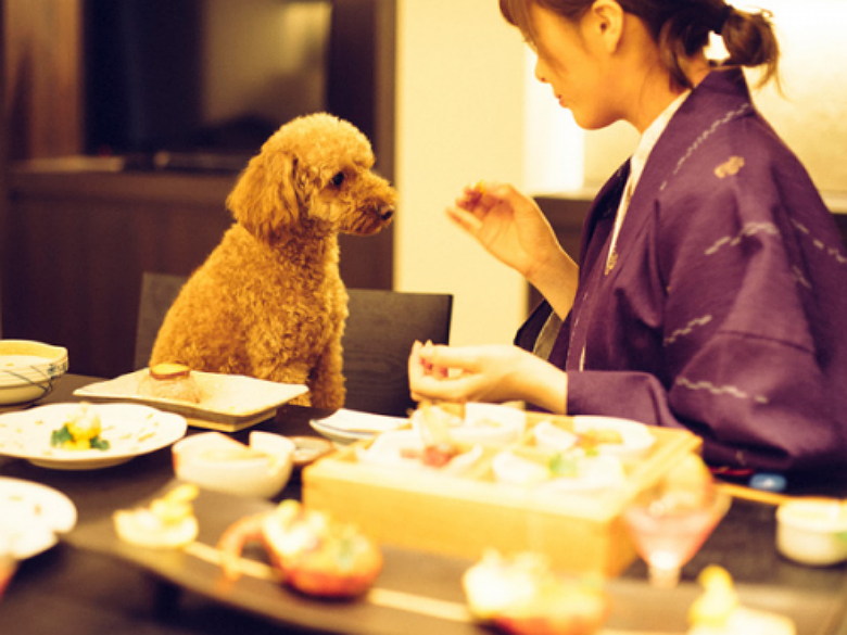 Dog Spa Japan