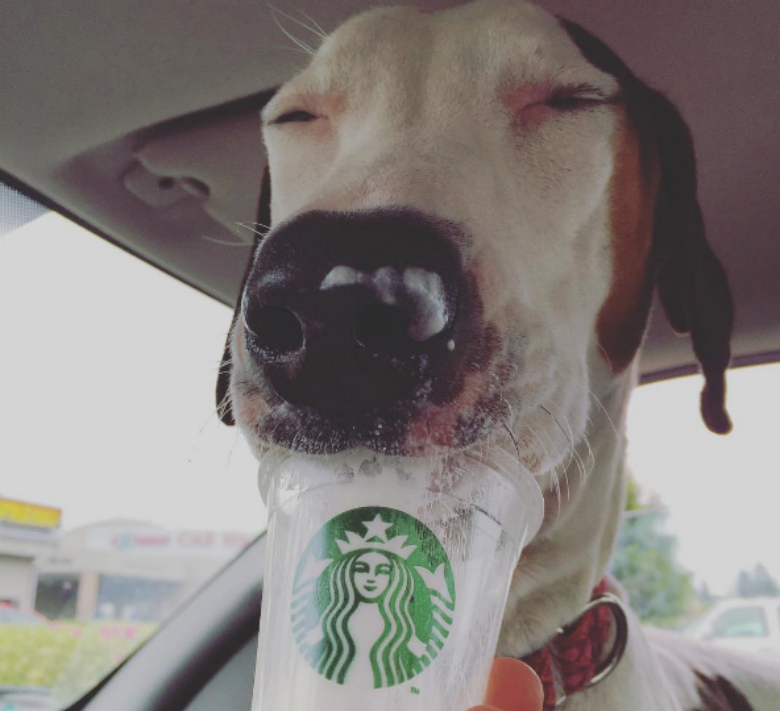 Image provided by KHS/Instagram