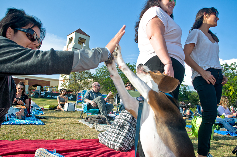 EatSeeHear Brings Pup Parents and Their Pooches Together For Movie Night