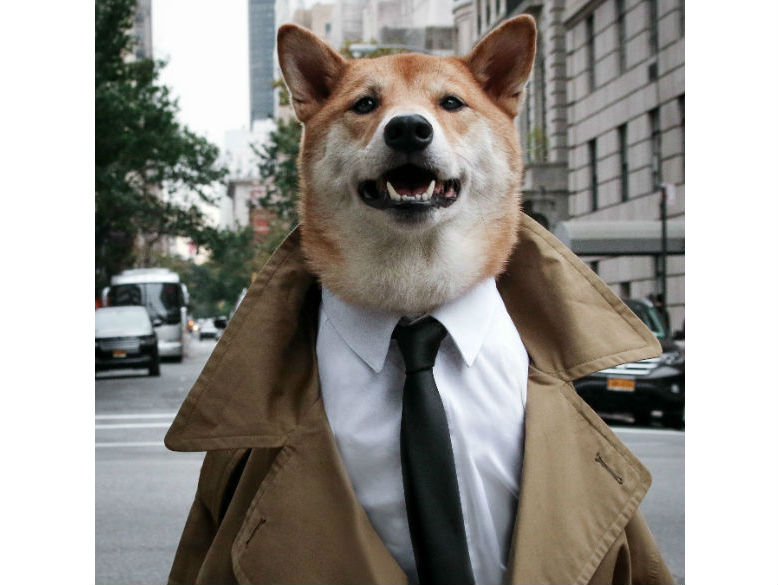 @MenswearDog