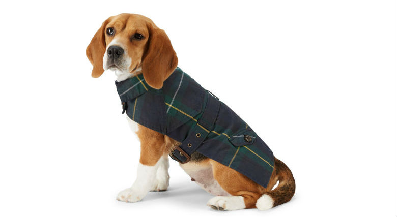 tommy hilfiger dog jacket