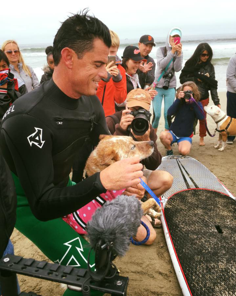 World Surf Dog Competition 5
