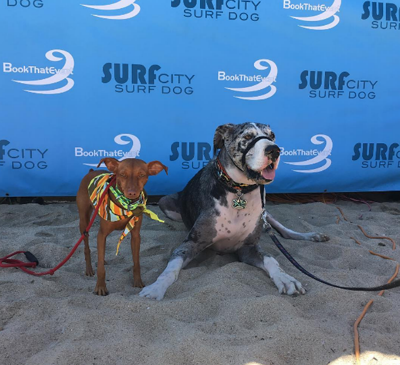 surfdog_IG_Rusty