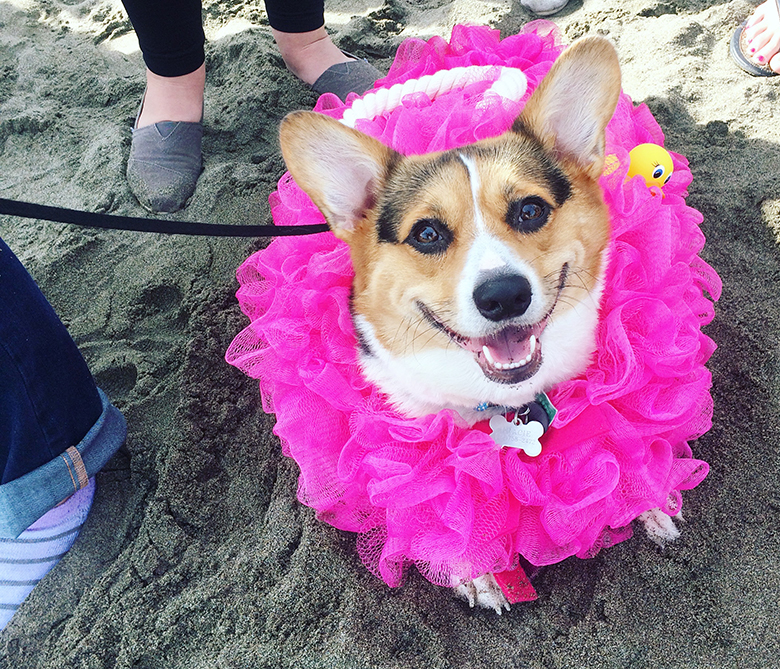 Hundreds of Descend on San Francisco Beach for Con