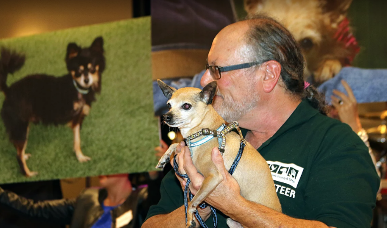 PHS/SPCA