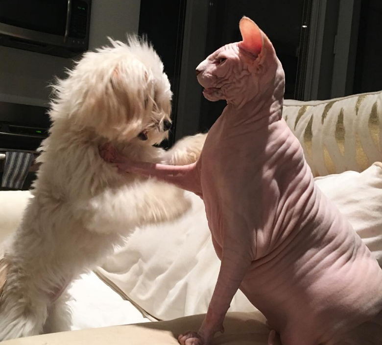 @botoxandlulu