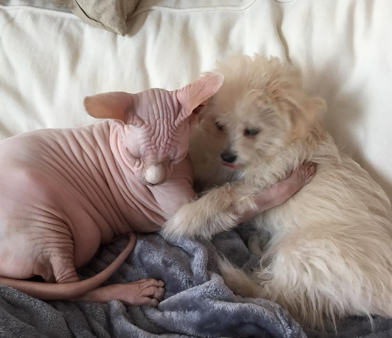 @botoxandlulu