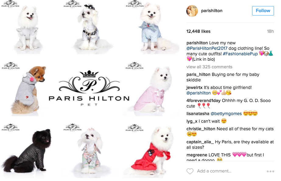 Paris Hilton Unveils Her New Dog Line on Instagram