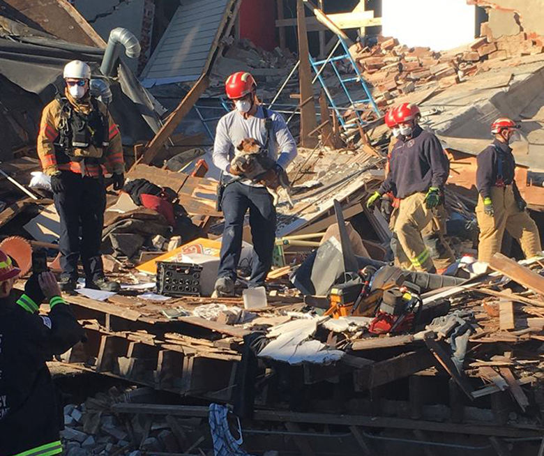 dog found in rubble in SD 1