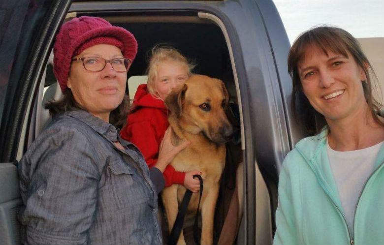 Hollister Animal Lost and Found/Facebook