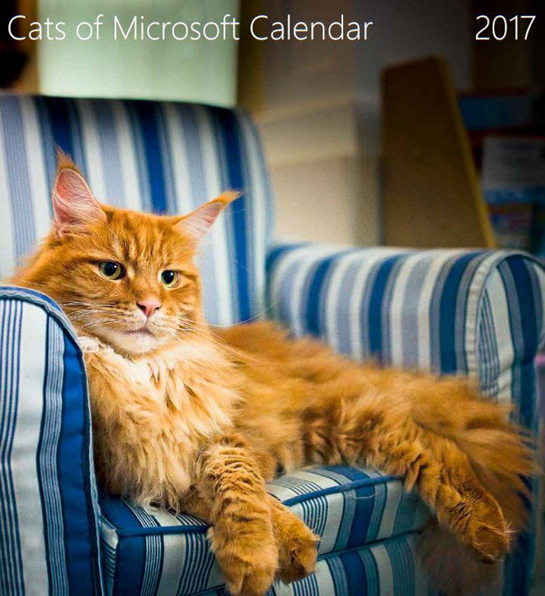 Dogs of Microsoft 5