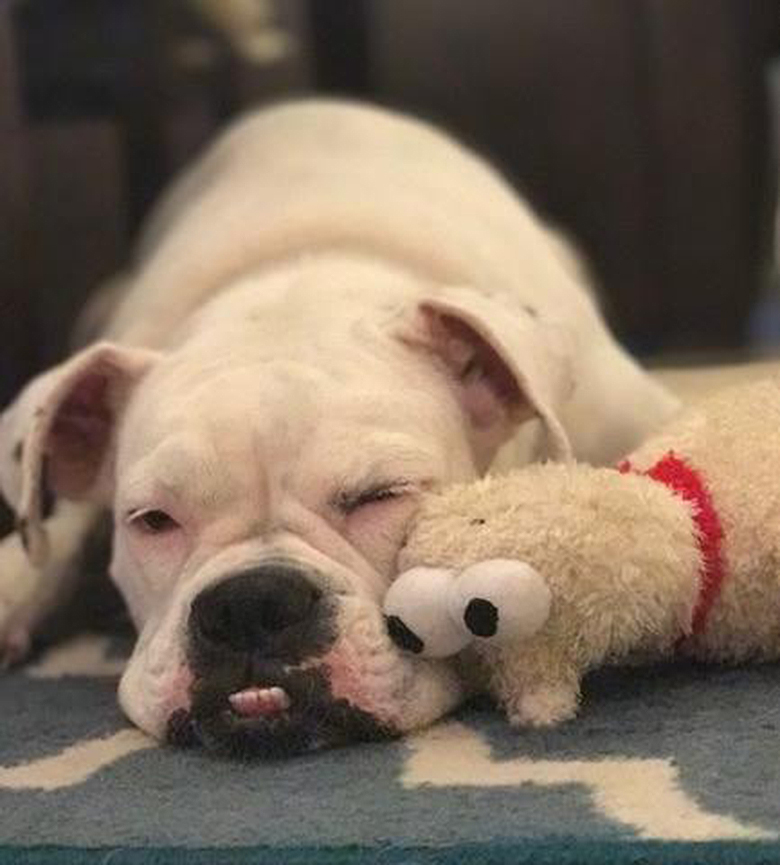 Ellie