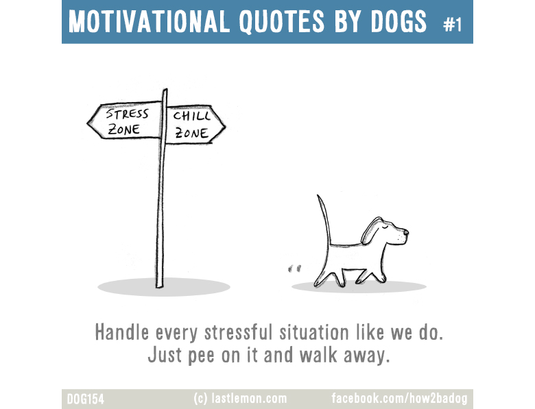 11 Motivational Quotes From Dogs This Dog S Life Dog Community