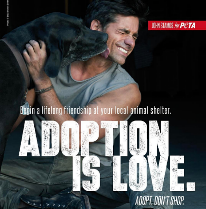 John Stamos Peta 3