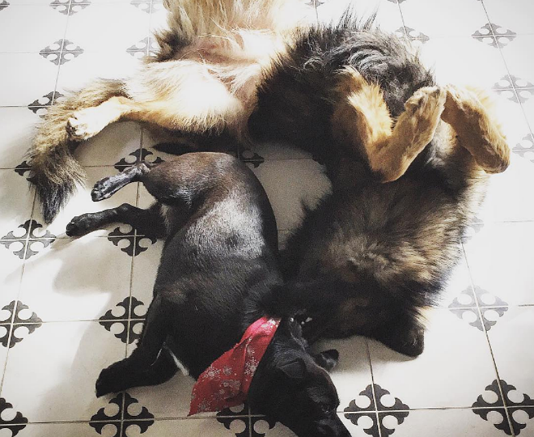 Image credit: Instagram/JohnStamos