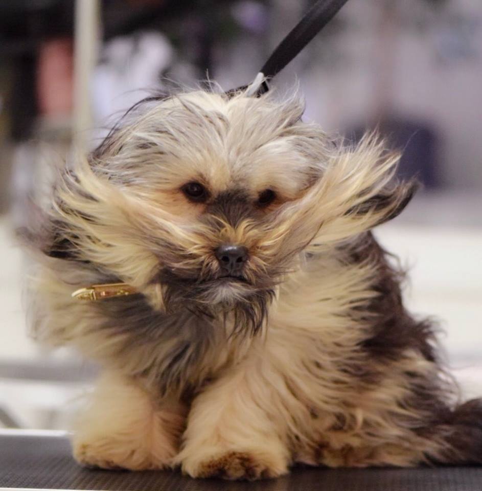 Image Credit: Lisa Vanderpump