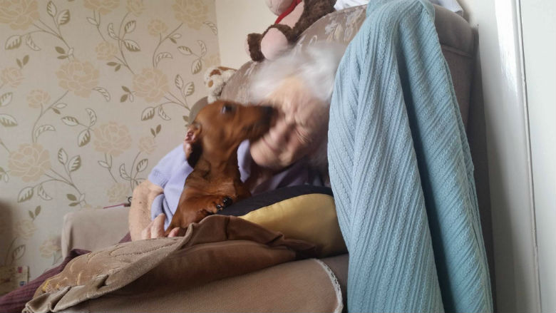 grandma and puppy 3
