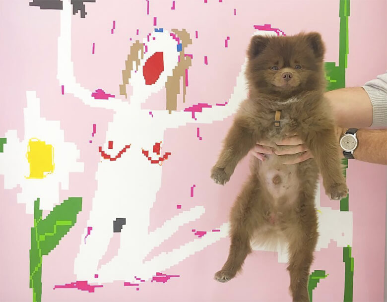 Image credit: Instagram/bertiebertthepom