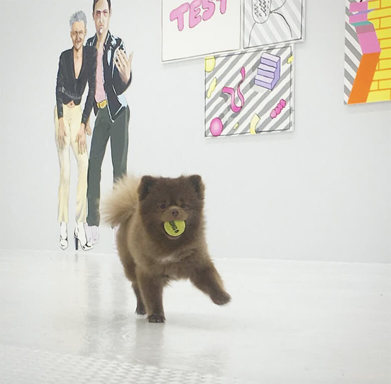 Image credit: Instagram/bertiebertthepom