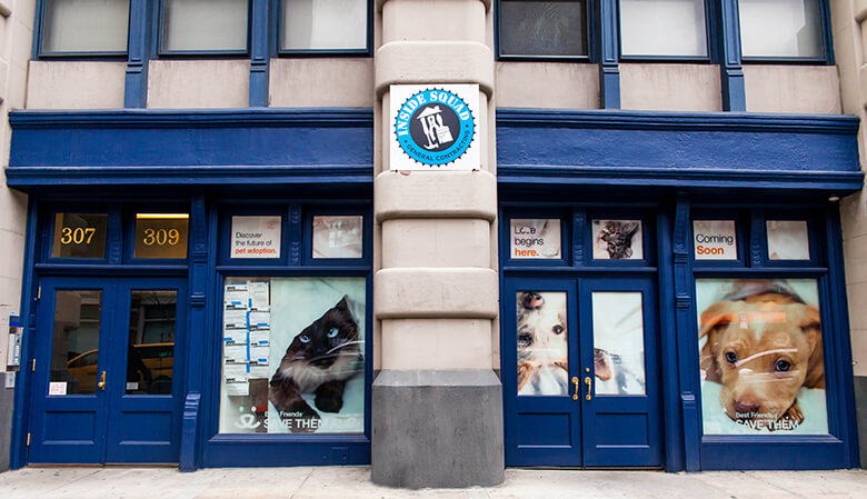 Best Dog Shelters Nyc Best Dog Shelters Nyc
