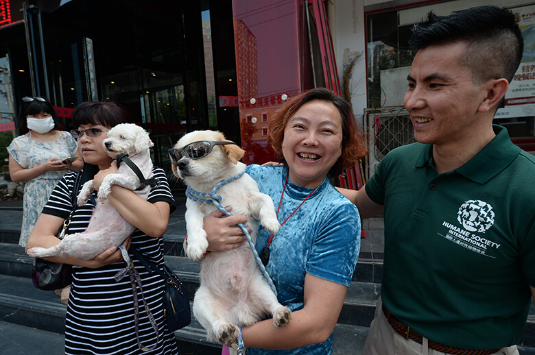 Image credit: Humane Society International