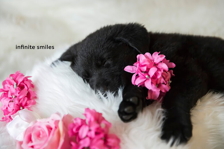 Image Credit: Infinite Smiles Photography
