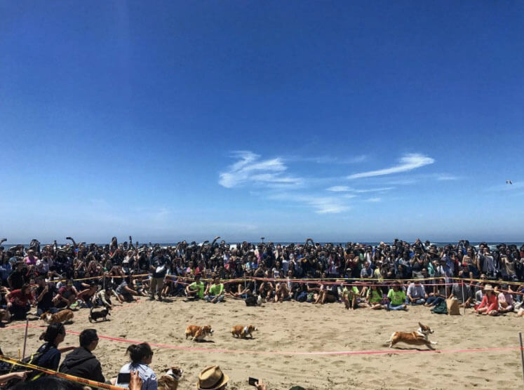 Image Credit: RachelNevers/Instagram