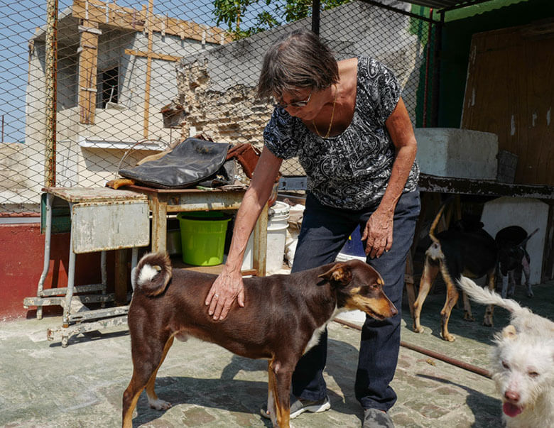 Nora García with some of her rescued dogs on the patio area of Aniplant, Cuba. Image Credit Ralph afadsfs
