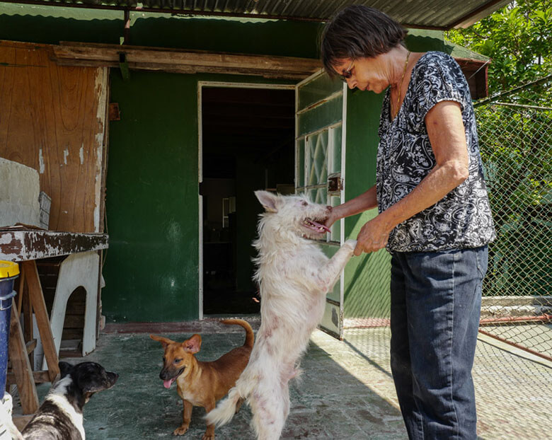 Nora García with Milagro (Miracle), a dog rescued from the trash by a garbage collector. Image Credit: Ralph Quinonez