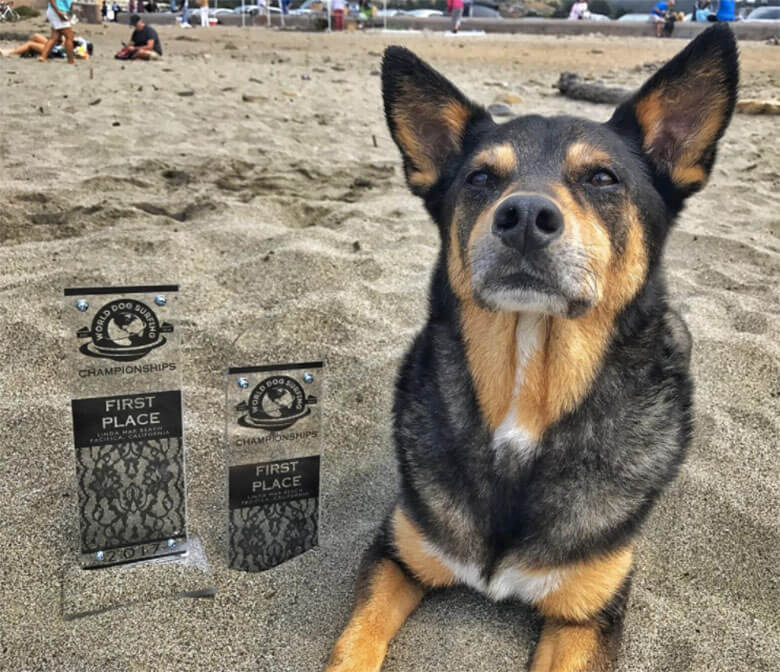 Image Credit: Abbie Surfs/Instagram