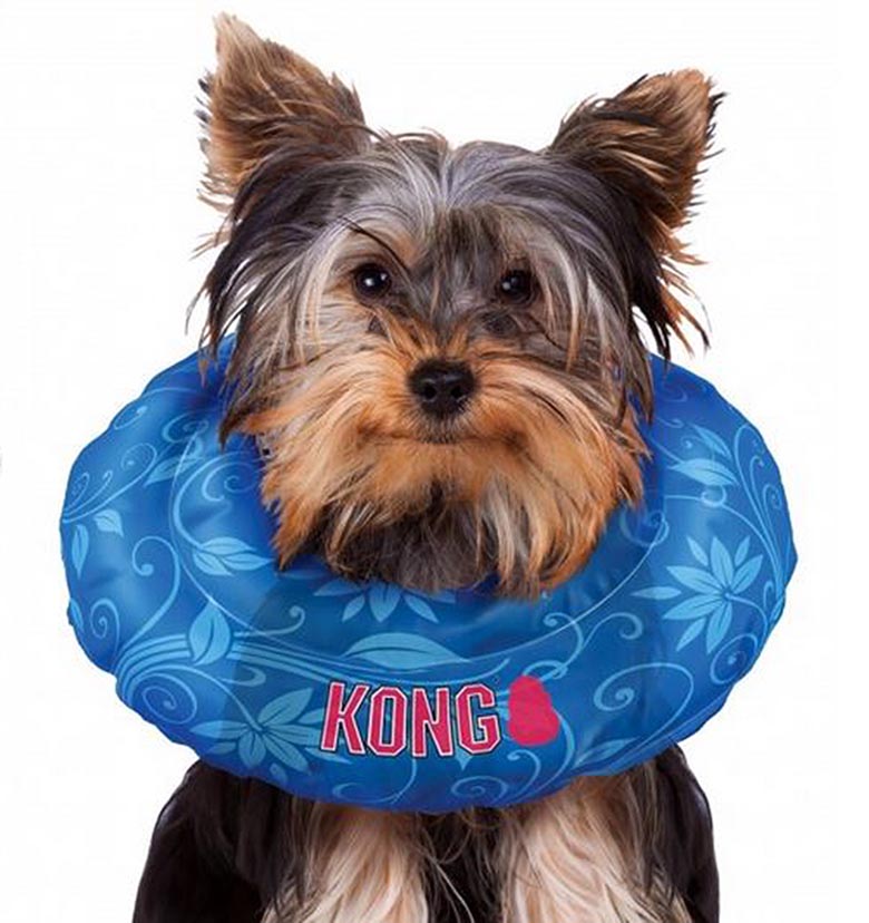 Kong Cushion 2