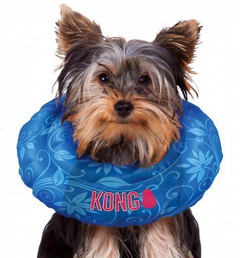 dog cone cushion