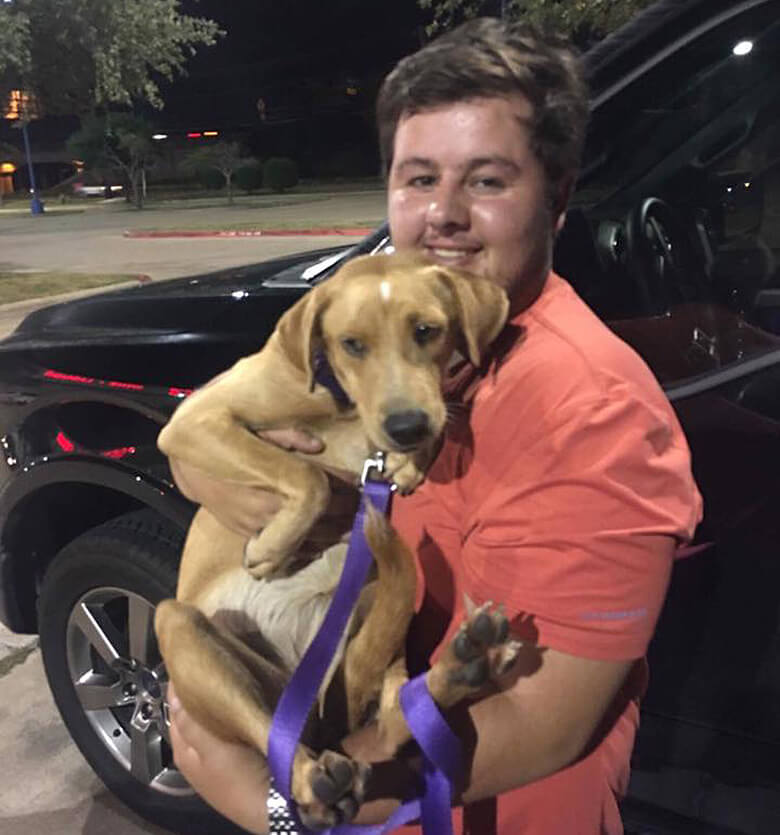 Image Credit: Lucky Lab Rescue Adoption
