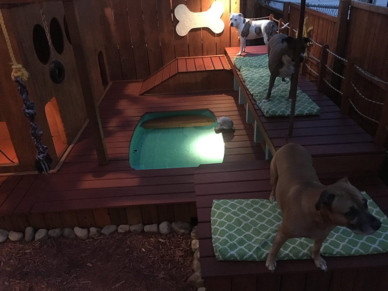 dog playhouse